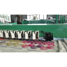 Chinese Good Quality Chenille Embroidery Machine for Cloth